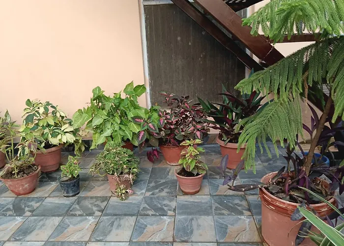 Vrinda Garden