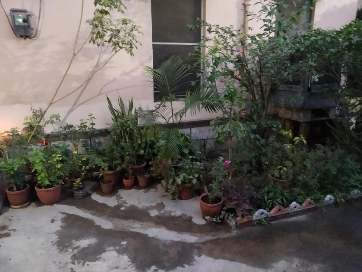 Vrinda Garden Homestay