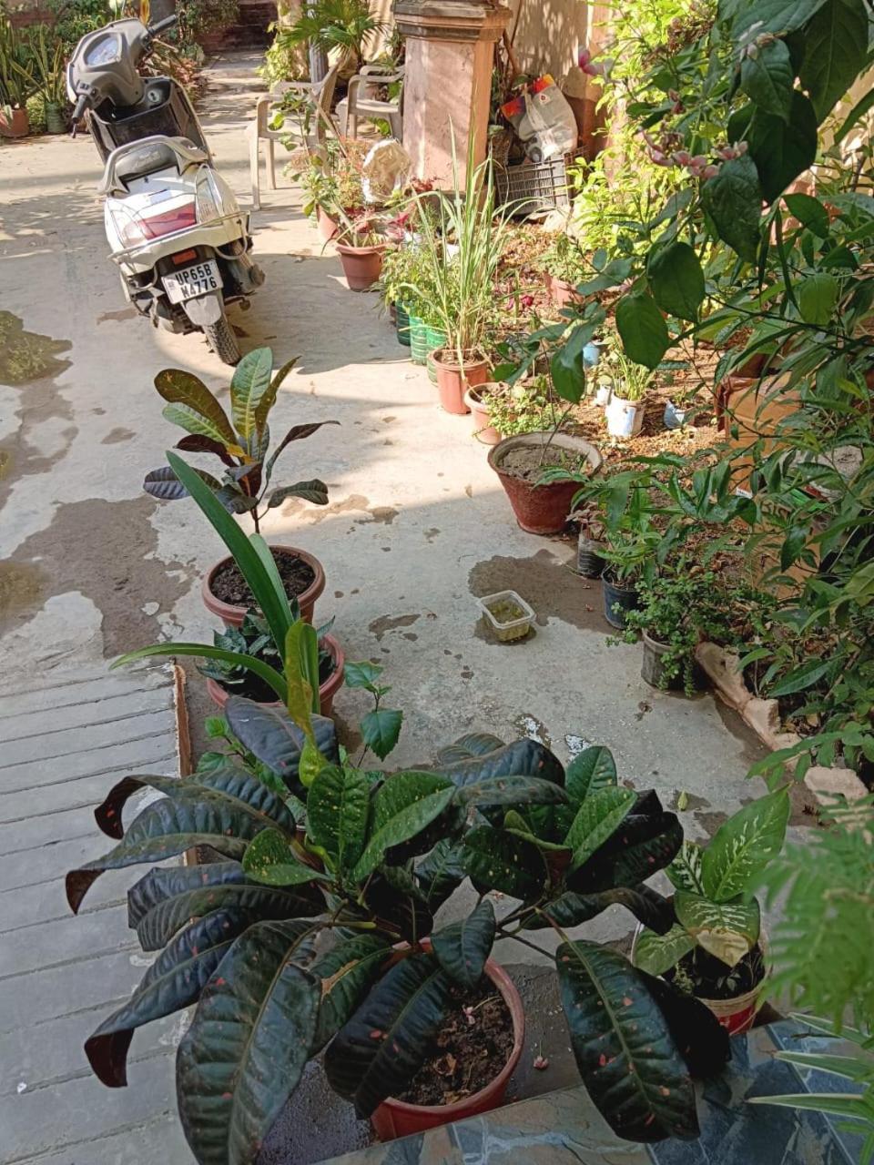 Vrinda Garden * Varanasi