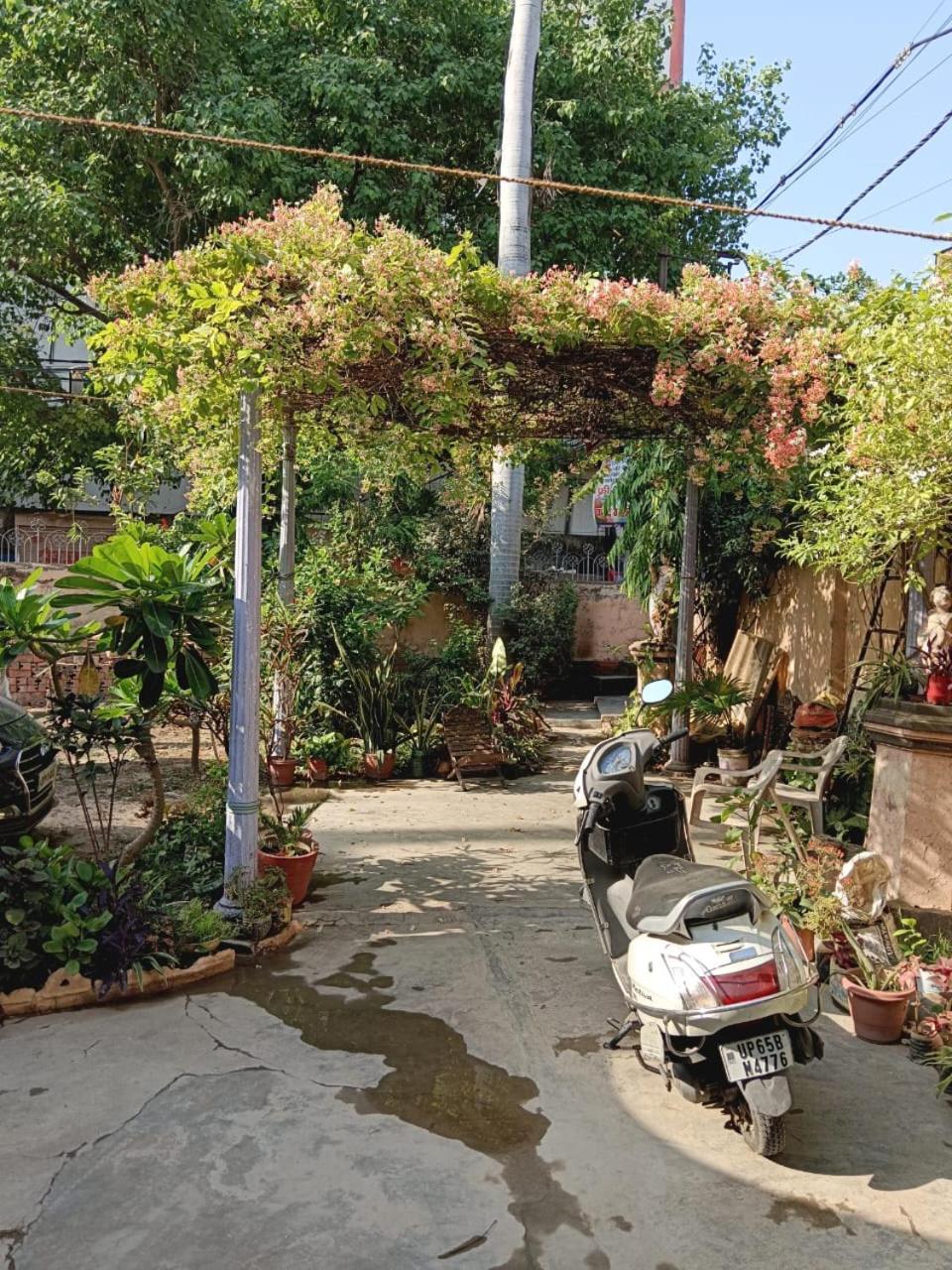 Vrinda Garden Homestay