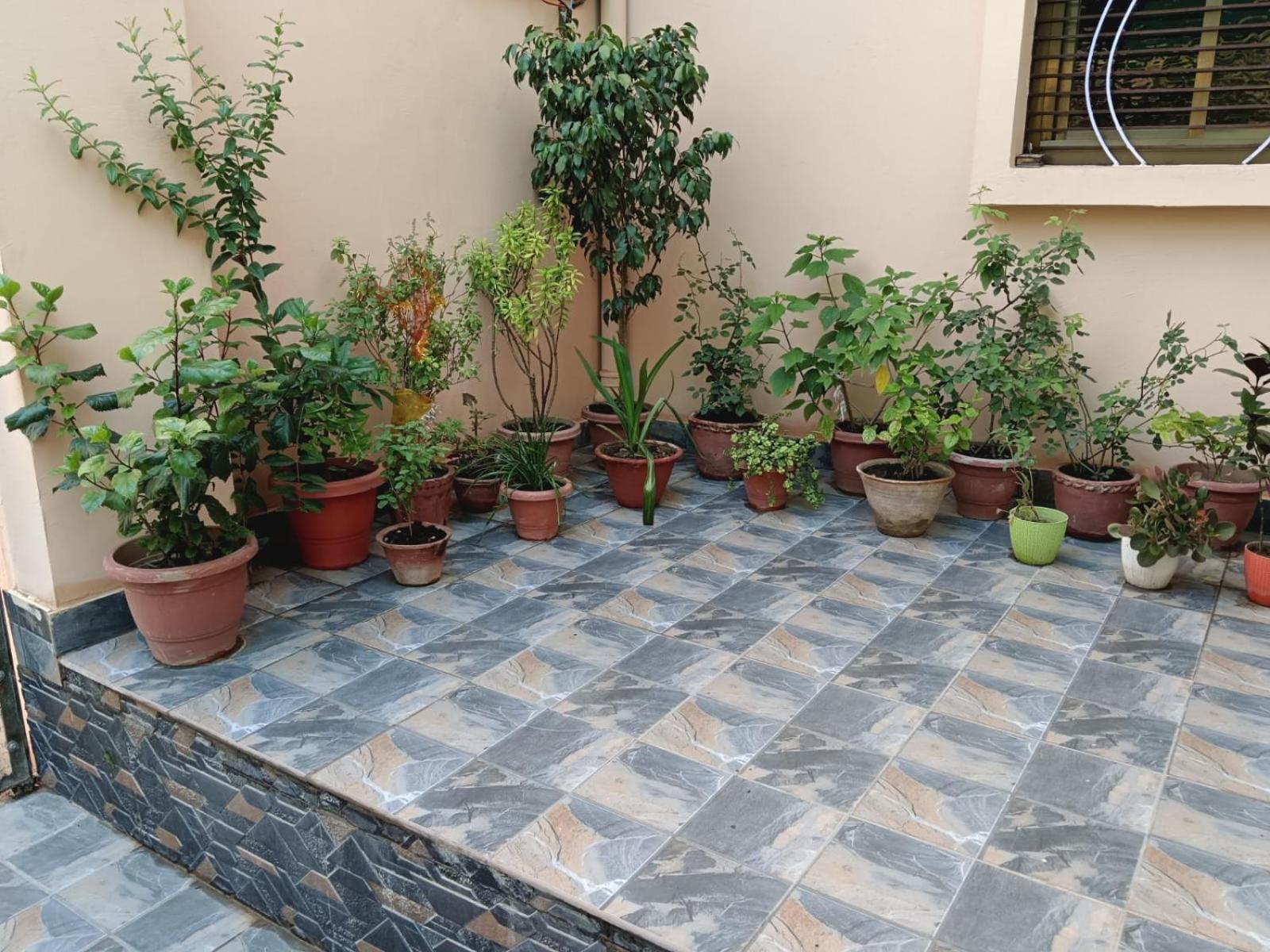 Homestay Vrinda Garden *